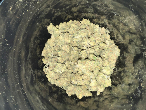 Amnesia 4.0