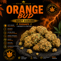 Orange Bud Premium 🍊 – La Référence Skunk aux Notes d’Agrumes Intenses