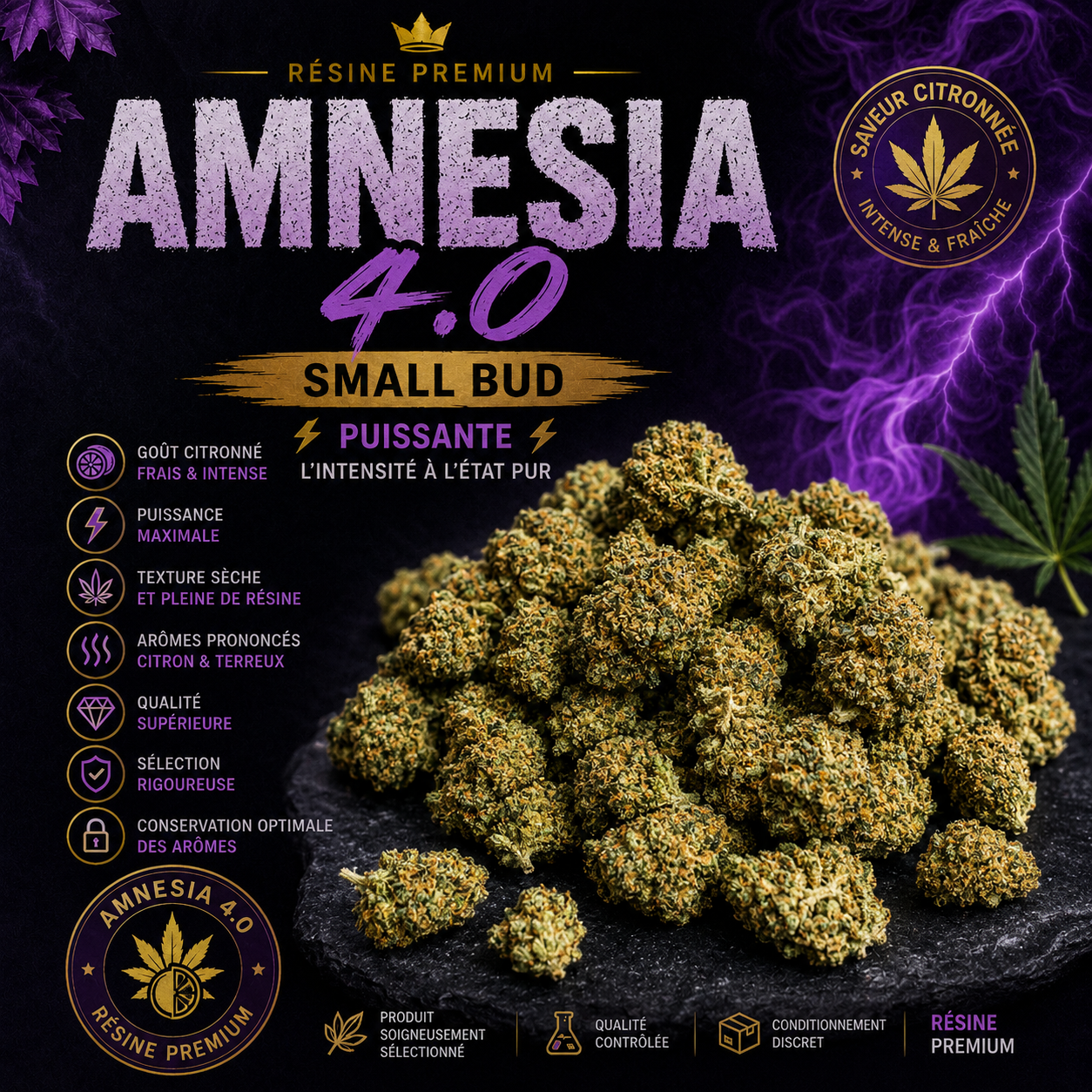 Amnesia smal bud